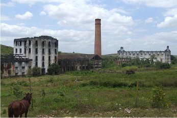 Ruínas da Usina Brasileiro