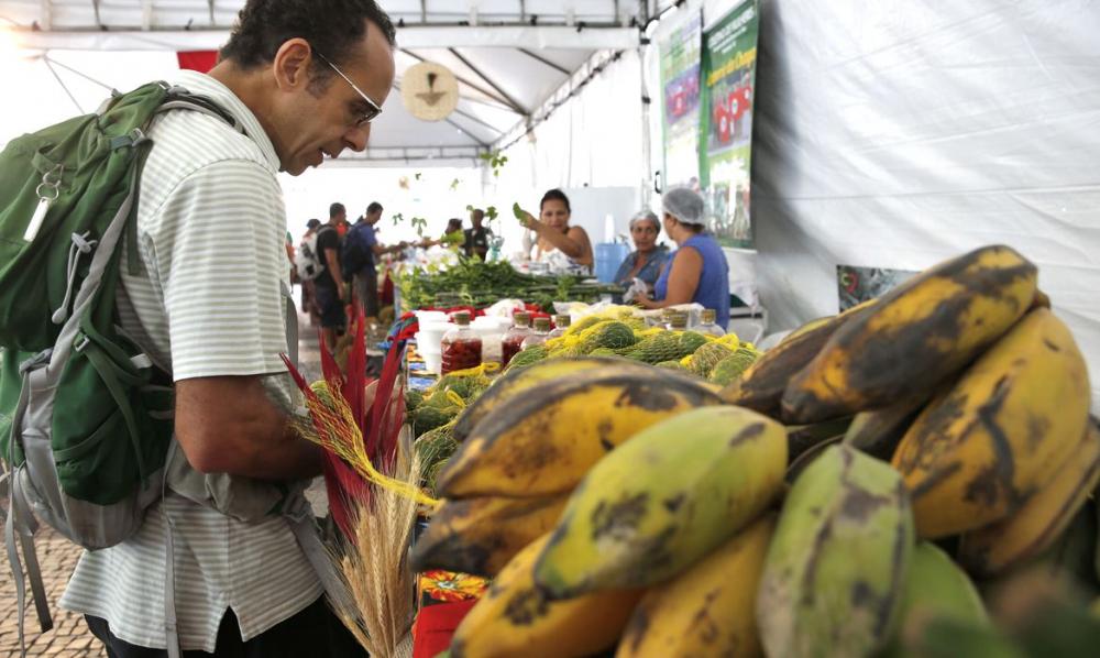 Novos prefeitos são orientados a investir mais em compras de empreendedores locais.