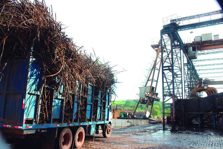 Copervales finalizou ciclo 20/21 com crescimento de safra em comparação a moagem anterior - Foto: Divulgação