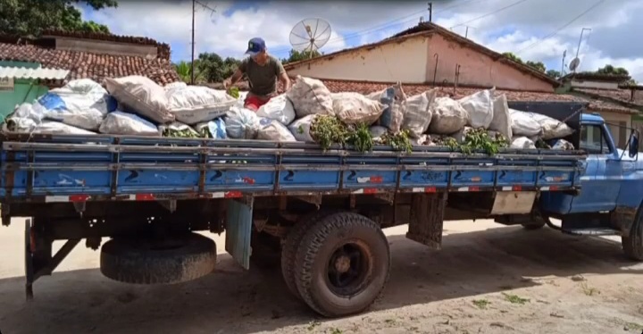 Ação fortalece a agricultura familiar no município de Atalaia.