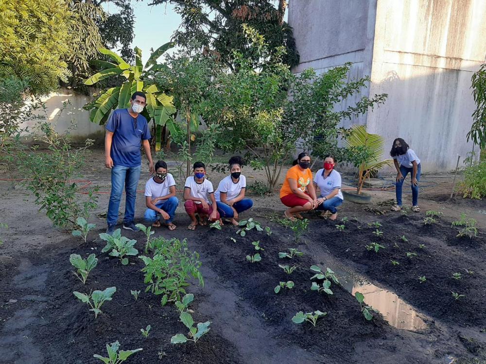 Horta Escolar é desenvolvida como forma de estimular o empreendedorismo sustentável.