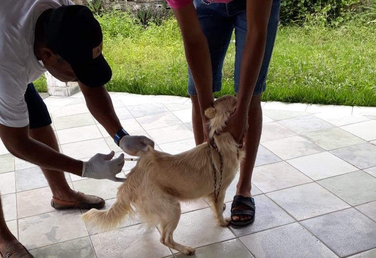 Dia D de mobilização da Vacinação Antirrábica em Atalaia.