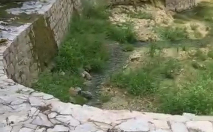 Abandonado, Santuário Ecológico da Fazenda Santa Tereza foi fechado em janeiro por conta de disputa judicial - Foto: Reprodução.