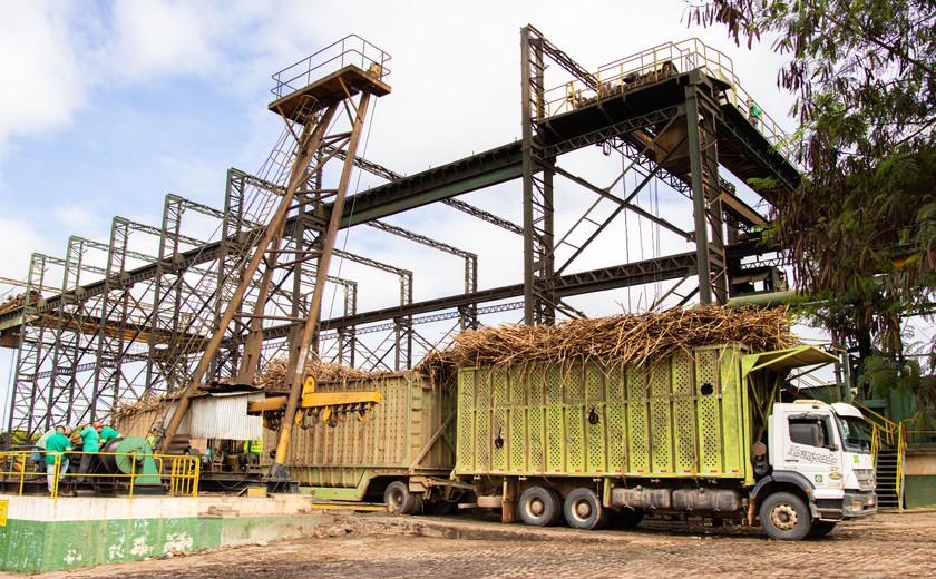 Produção da cooperativa na safra 2022/2023 é 41 mil toneladas superior à registrada na safra passada - Foto: Assessoria