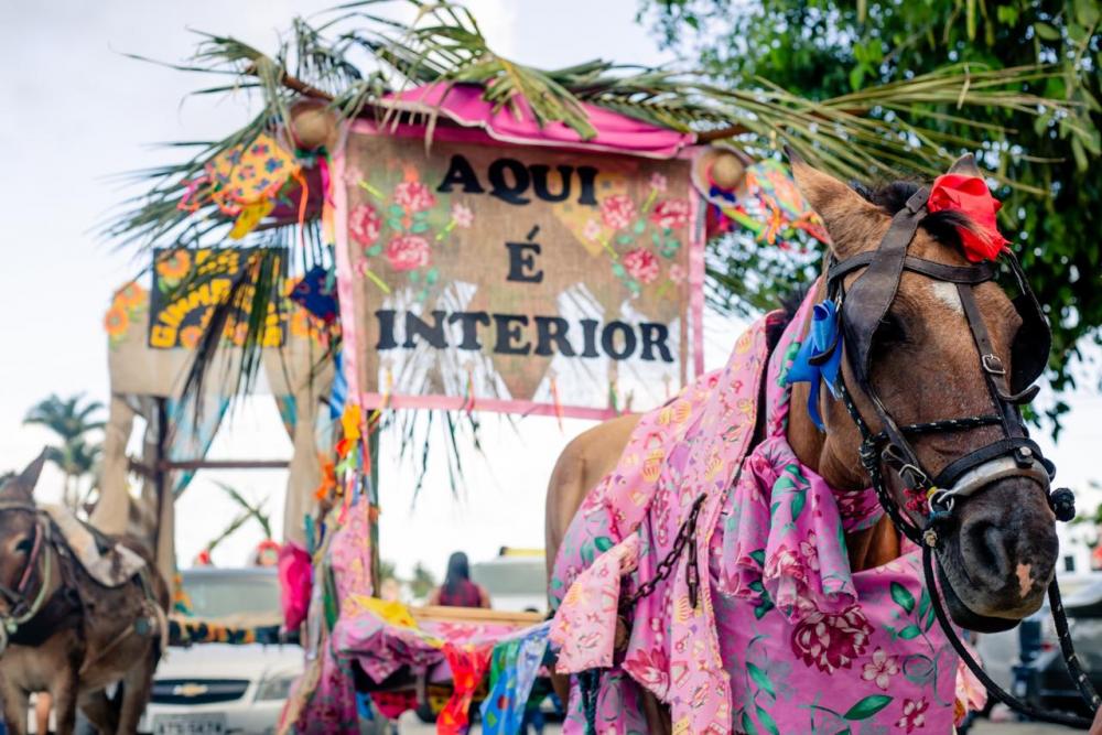 Foto: Assessoria / Mariel Matias