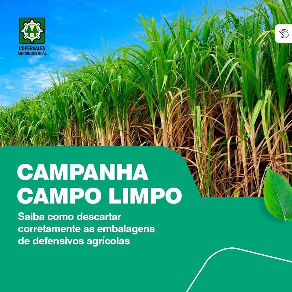 Copervales lança campanha “Campo Limpo” para recolher embalagens vazias de defensivos agrícolas.