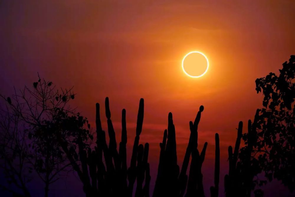 Eclipse solar anular terá percentual de visibilidade de 83.08% em Atalaia. Foto: (Chayanan/Getty Images)
