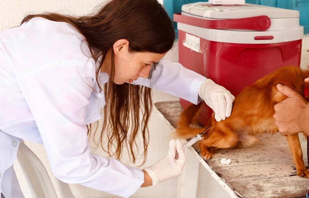 Foto: Secom / Jal Gomes.