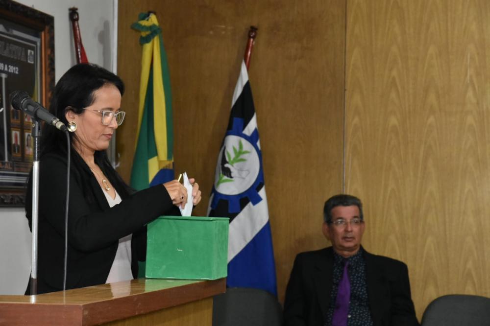 Eleição dos integrantes das Comissões Permanentes.