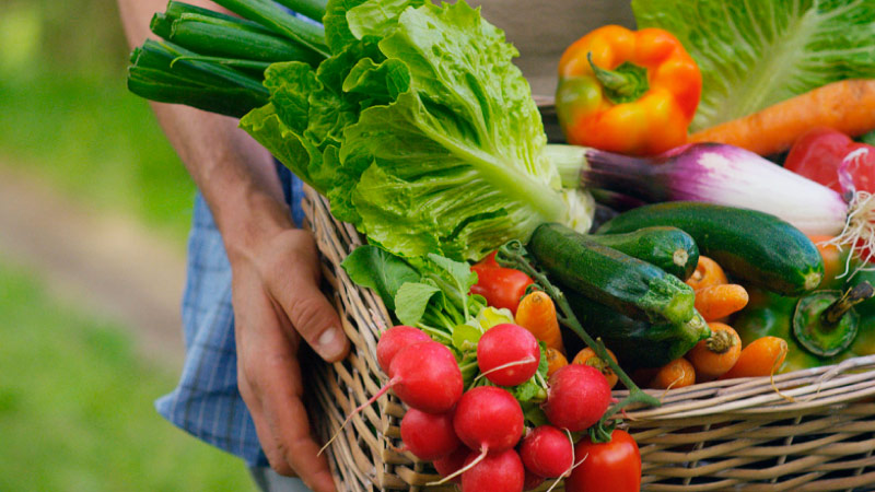 Chamada Pública para aquisição de gêneros alimentícios da Agricultura Familiar e do Empreendedor Rural Familiar