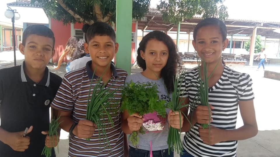 Alunos da Escola Municipal Dr. João Carlos cultivam hortaliças. Foto: Semed Atalaia 